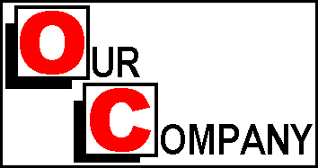 Our Company